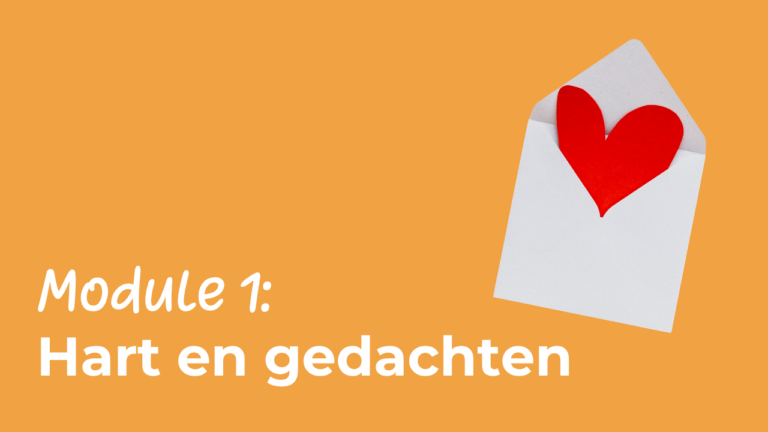Module 1 – categoriebeeld